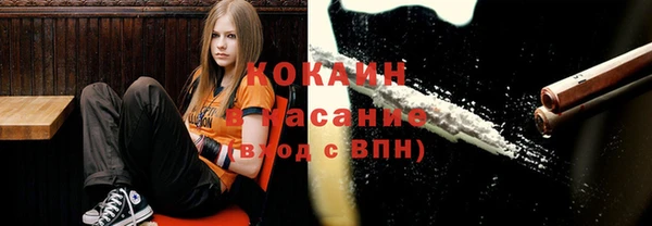 спайс Баксан