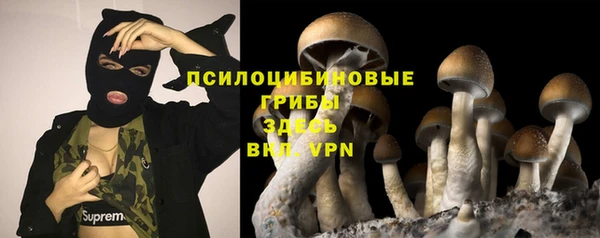 спайс Баксан