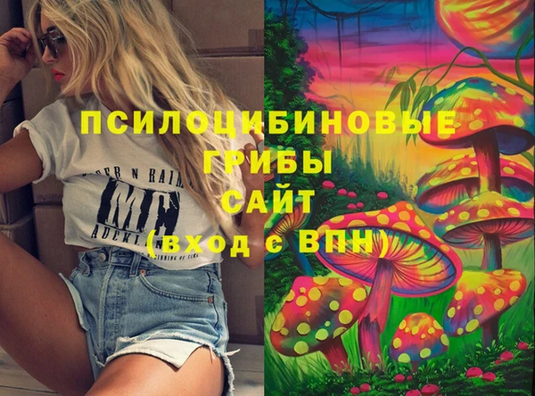спайс Баксан