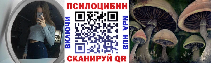 Псилоцибиновые грибы Cubensis Нурлат