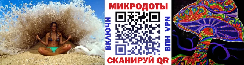 kraken   купить   Нурлат  дарк нет формула  Псилоцибиновые грибы Cubensis 